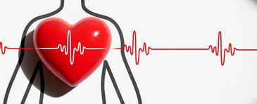 Quel gene che fa bruciare il cuore